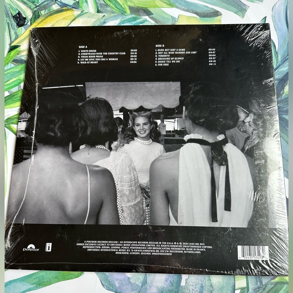 Lana Del Rey-  Chemtrails over the Country Club- Vinyl NWT - Picture 2 of 3